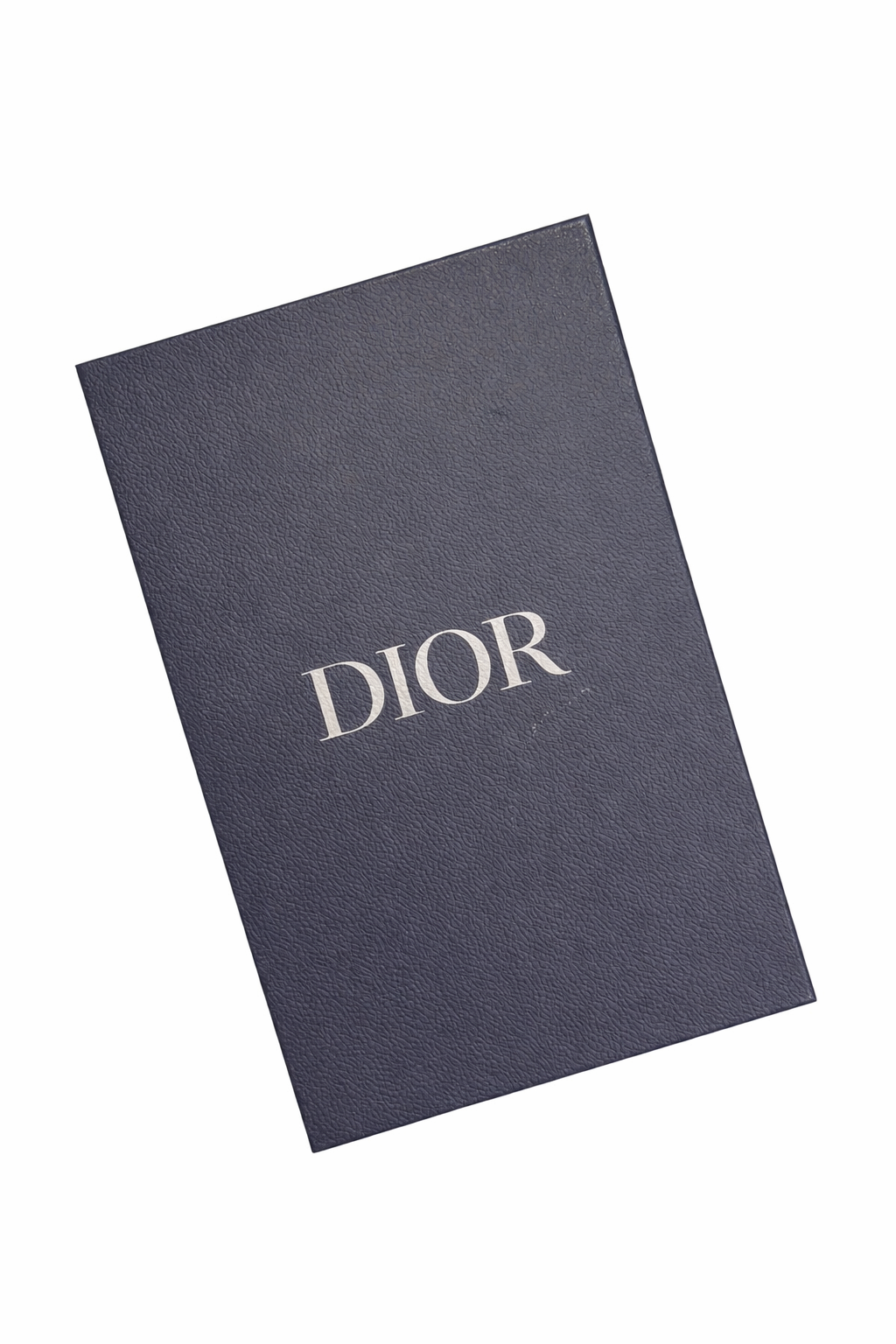 CHRISTIAN DIOR X DENIM TEARS SADDLE TRIPLE POUCH 2023/AW