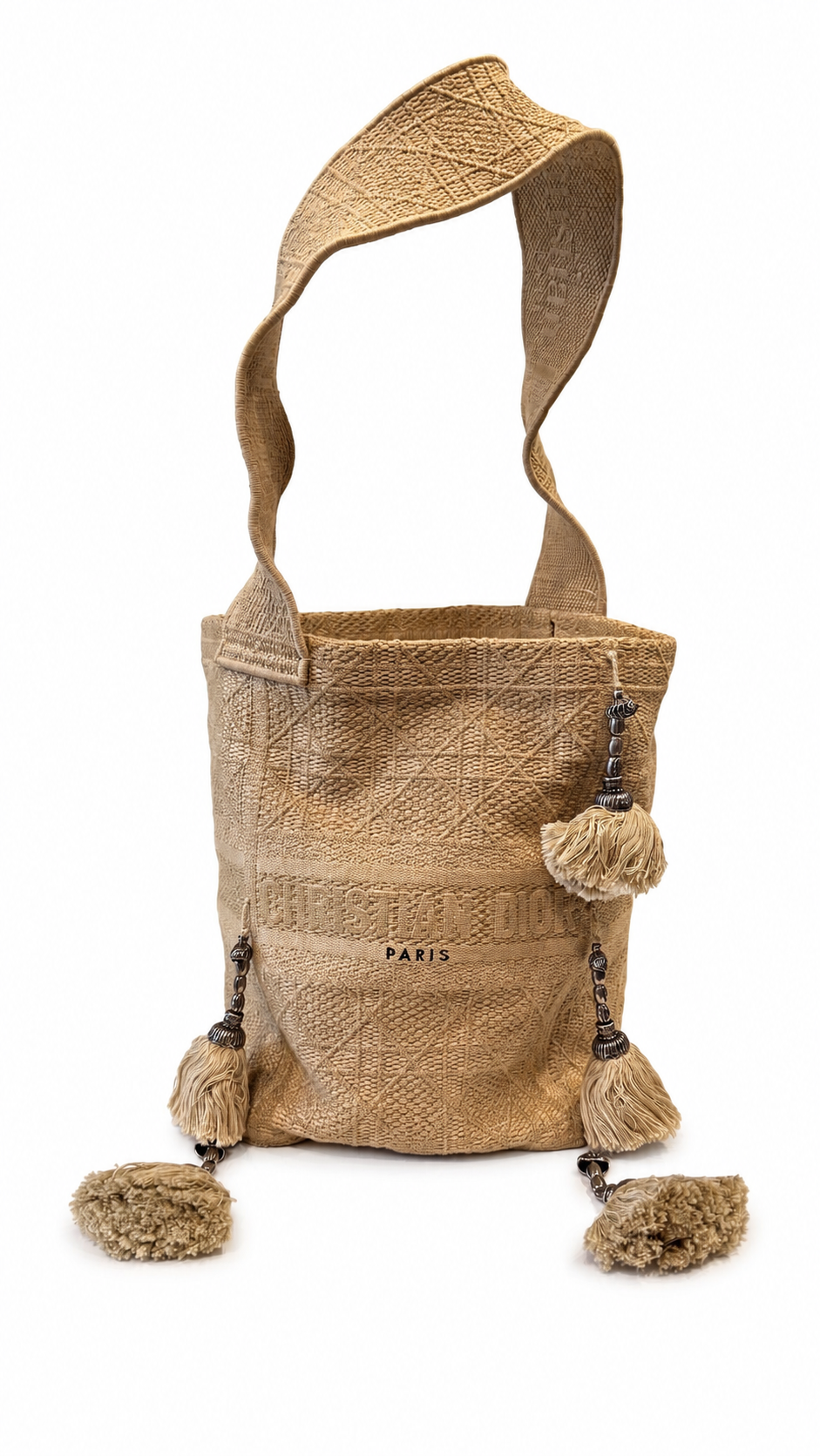Christian Dior D-Bubble Bucket Bag