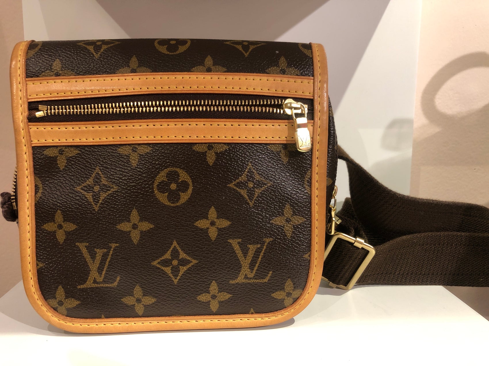 Louis Vuitton monogram belt bag