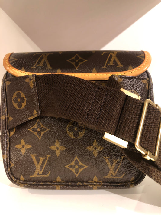 Louis Vuitton monogram belt bag