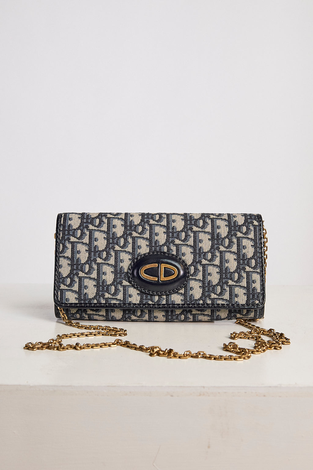 Christian Dior Monogram Canvas Oblique Wallet on a Chain