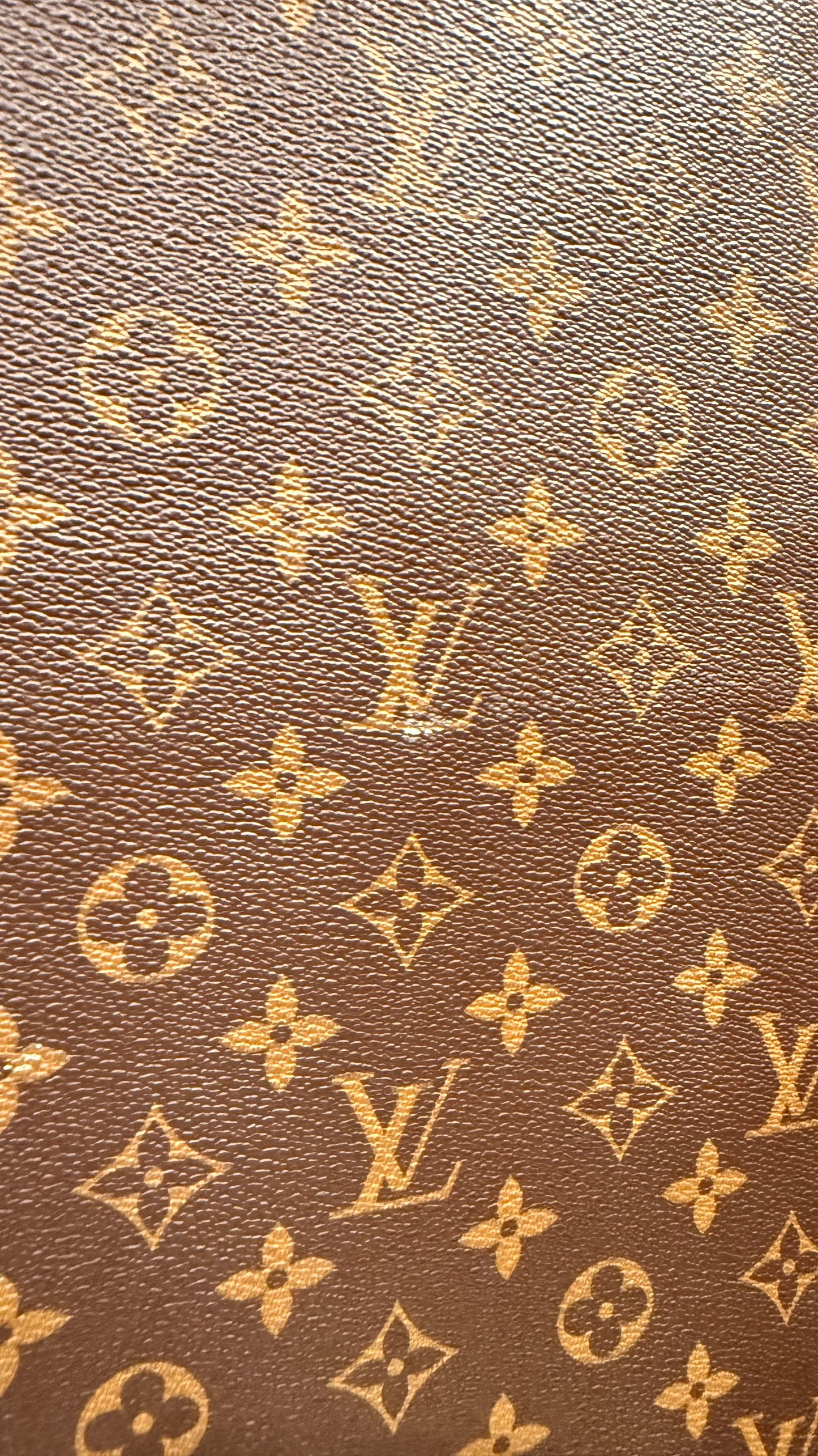 LOUIS VUITTON MONOGRAM VINTAGE GARMENT BAG